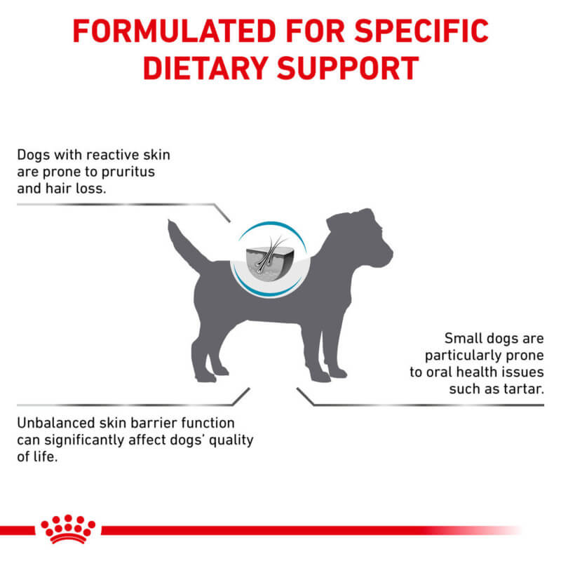 Silhouette of a dog with text about Royal Canin Veterinary Canine Skin Care Small Dog food.