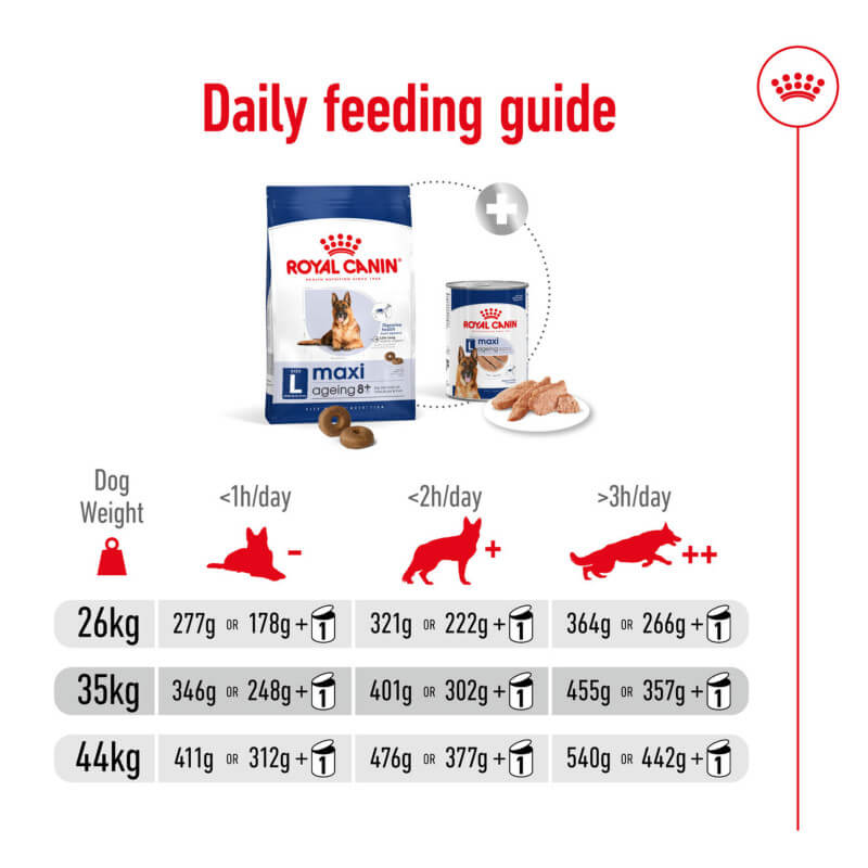 Royal Canin Maxi Ageing 8+ feeding chart for healthy ageing by dog weight.