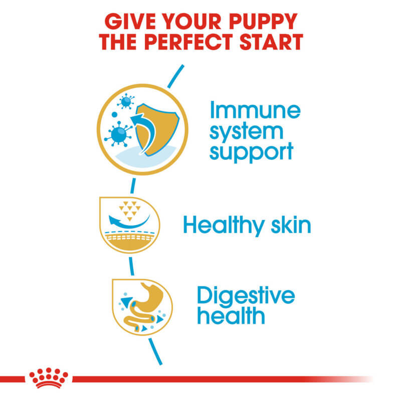 Icons show immune support, healthy skin &amp; digestion in Royal Canin Pug Puppy 1.5kg food.