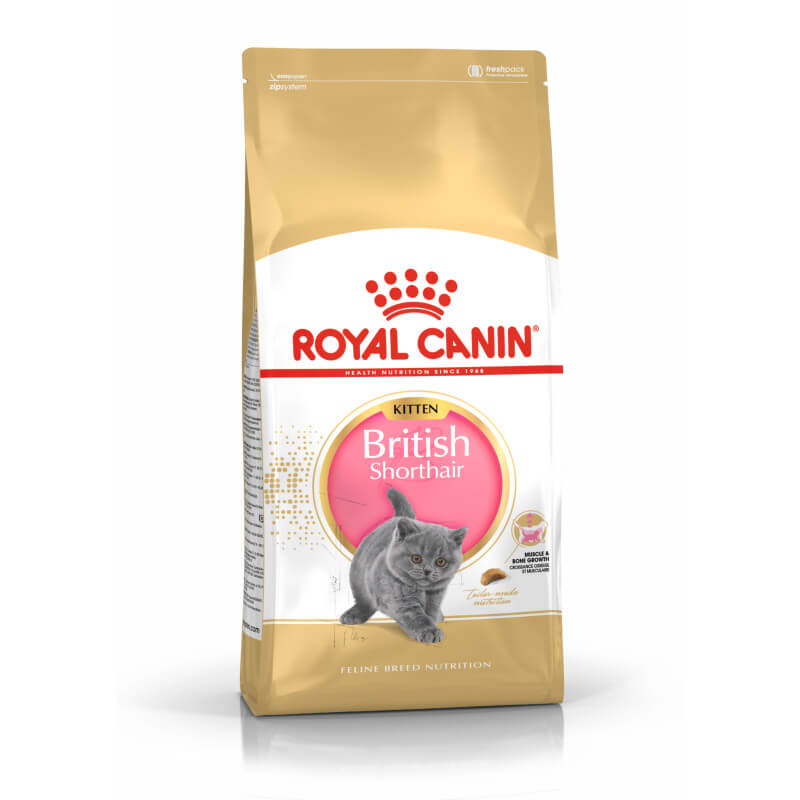 Royal Canin Kitten British Shorthair provides breed-specific nutrition for healthy kitten growth.
