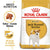 Royal Canin Jack Russell Terrier