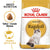 Royal Canin Ragdoll Adult