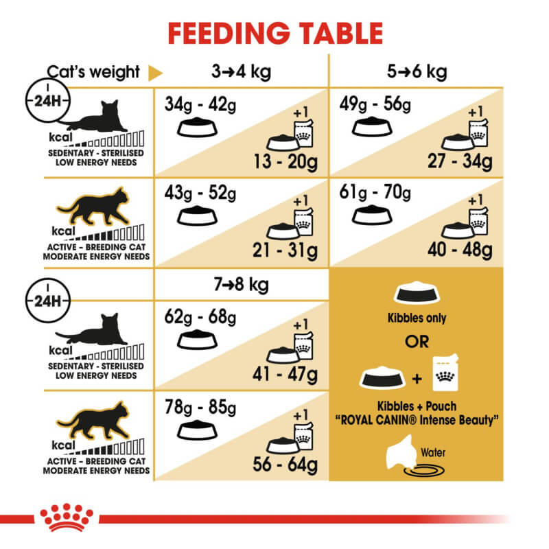 Royal Canin Ragdoll Adult