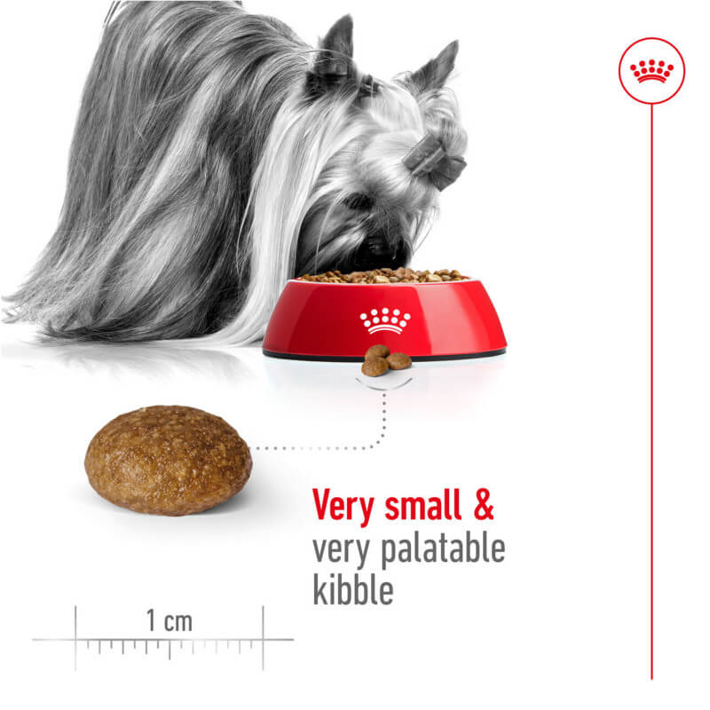 Royal Canin X-Small Adult 8+ 1.5kg