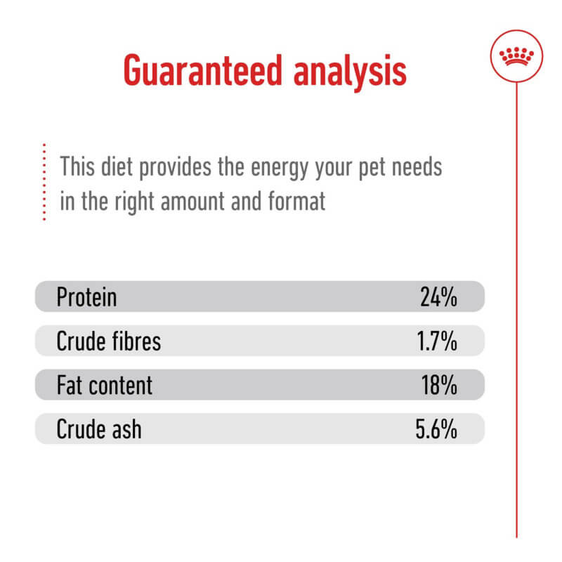 Royal Canin X-Small Adult 8+ 1.5kg: 24% protein, 1.7% fibre—great for small senior dogs.
