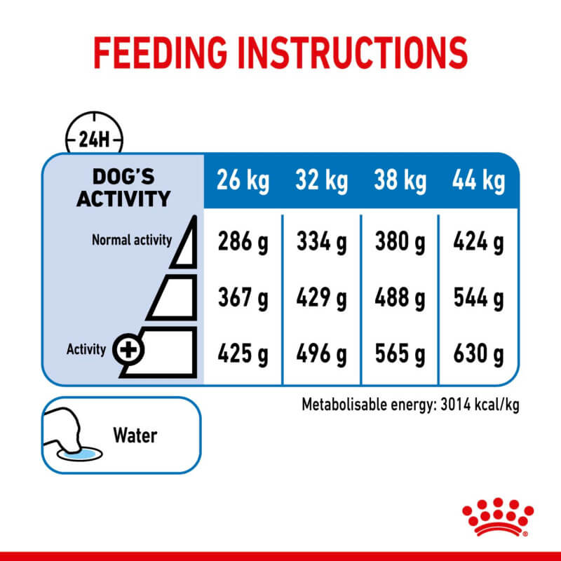 Dog feeding chart by weight/activity with Royal Canin Maxi Light Weight Care guidance.