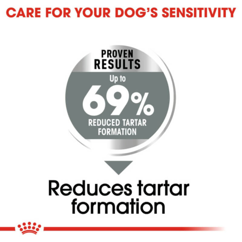 Royal Canin Mini Dental dog food for small breeds, supports dental health and tartar reduction.