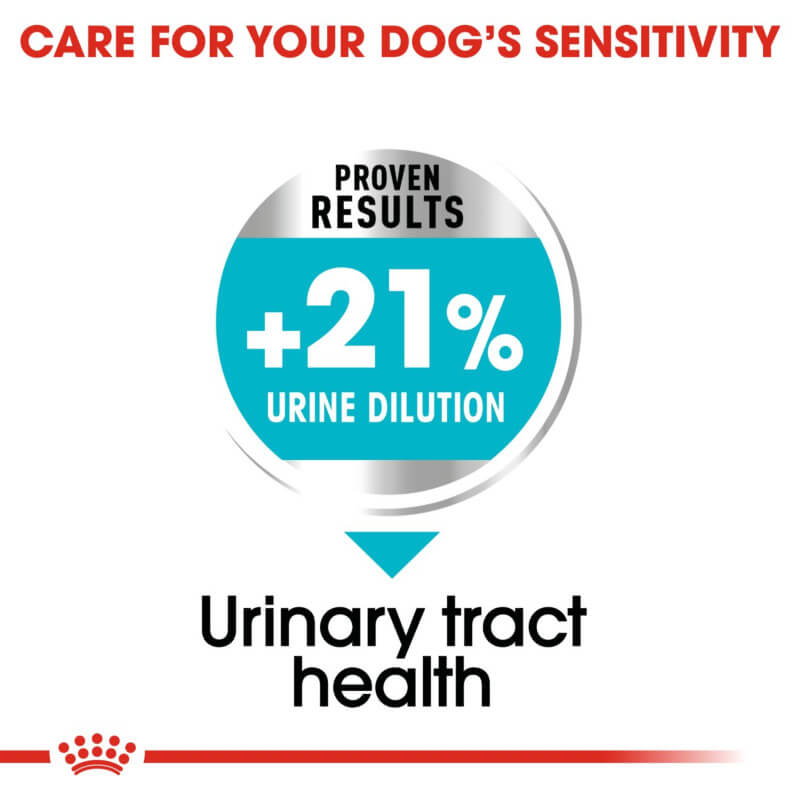 Royal Canin Mini Urinary Care supports urinary health with +21% urine dilution.
