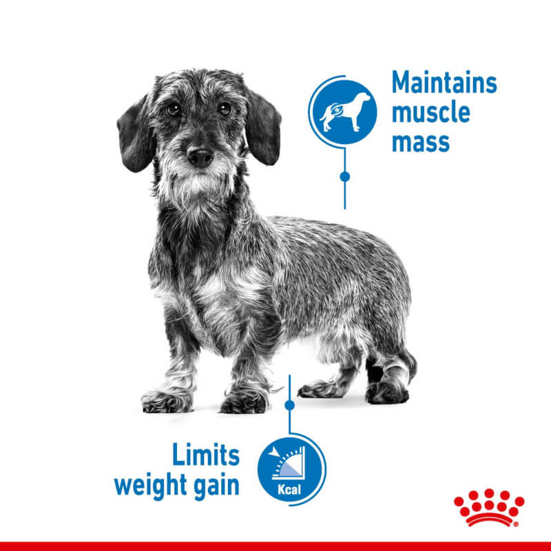 Royal Canin X Small Light Weight Care 1.5kg