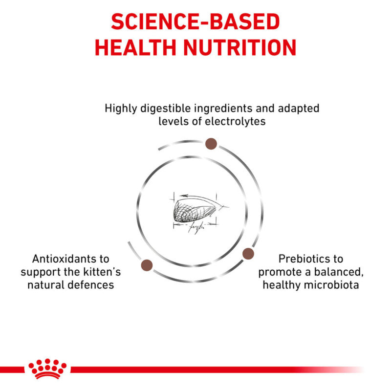 Royal Canin Veterinary Gastrointestinal Kitten: digestibility, antioxidants, prebiotics for digestion.