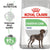 Royal Canin Maxi Digestive Care