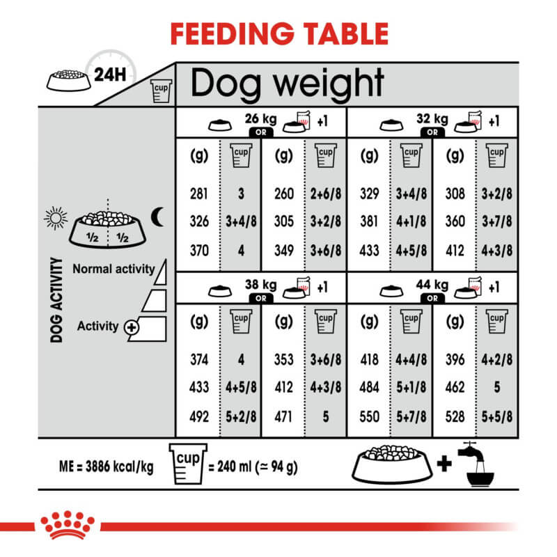 Royal Canin Maxi Digestive Care dog feeding table: portions by weight and activity level.