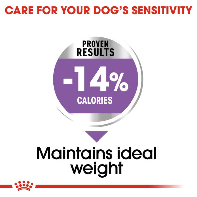 Purple badge shows Royal Canin Maxi Sterilised: -14% calories for neutered adult dogs.