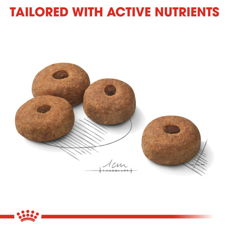 Four round brown kibbles with a hole, perfect for Royal Canin Maxi Sterilised diets.