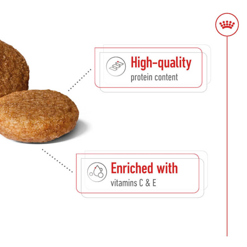 Royal Canin Medium Adult-Pet n Pony-Royal Canin