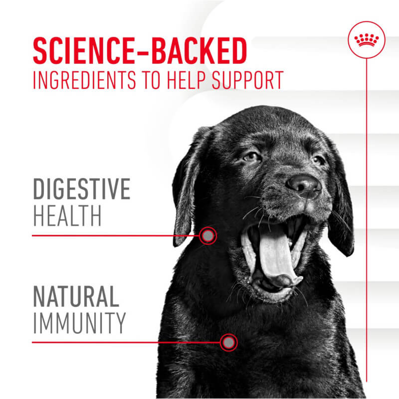 Royal Canin Pup Digestion Supplement highlights prebiotics and supports natural immunity in puppies.