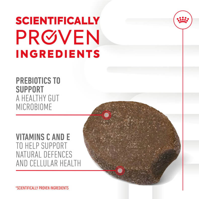 Royal Canin Pup Digestion Supplement: prebiotics, vitamins C & E for puppy gut health.