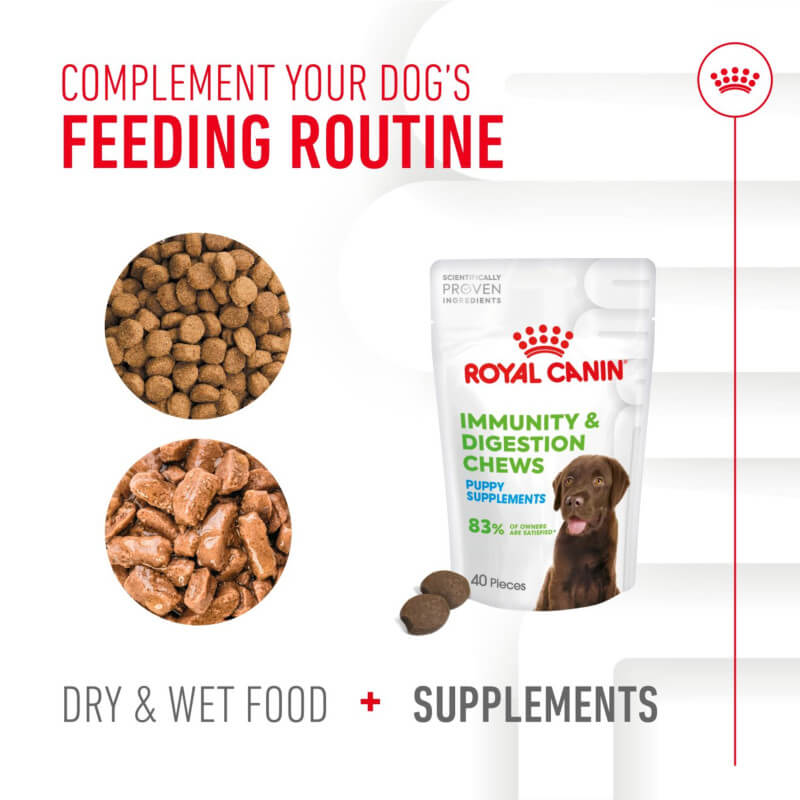 Royal Canin Pup Digestion Supplement 100g supports puppy digestion and immunity.