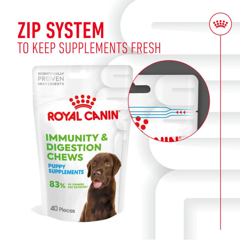 Royal Canin Pup Digestion Supplement 100g keeps chews fresh, featuring a brown puppy.