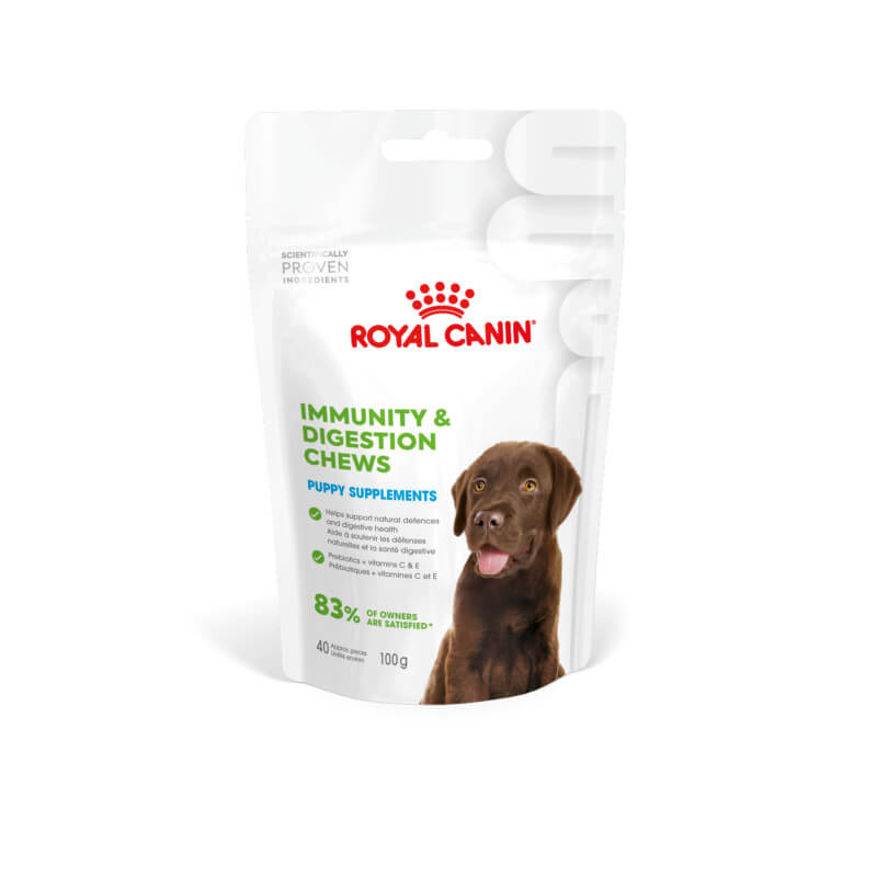 Royal Canin Pup Digestion Supplement 100g—digestive and immune support for puppies.