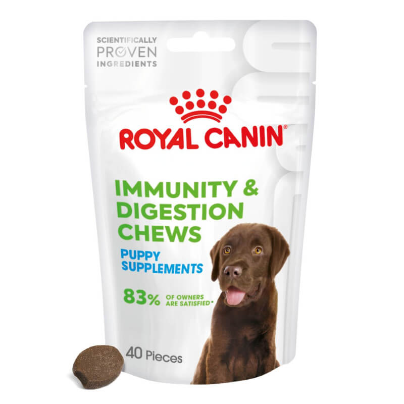 Royal Canin Pup Digestion Supplement 100g with a chocolate lab puppy, 40 chews.