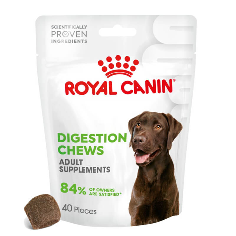 Royal Canin Adult Digestion Supplement 160g supports digestive health for adult dogs.