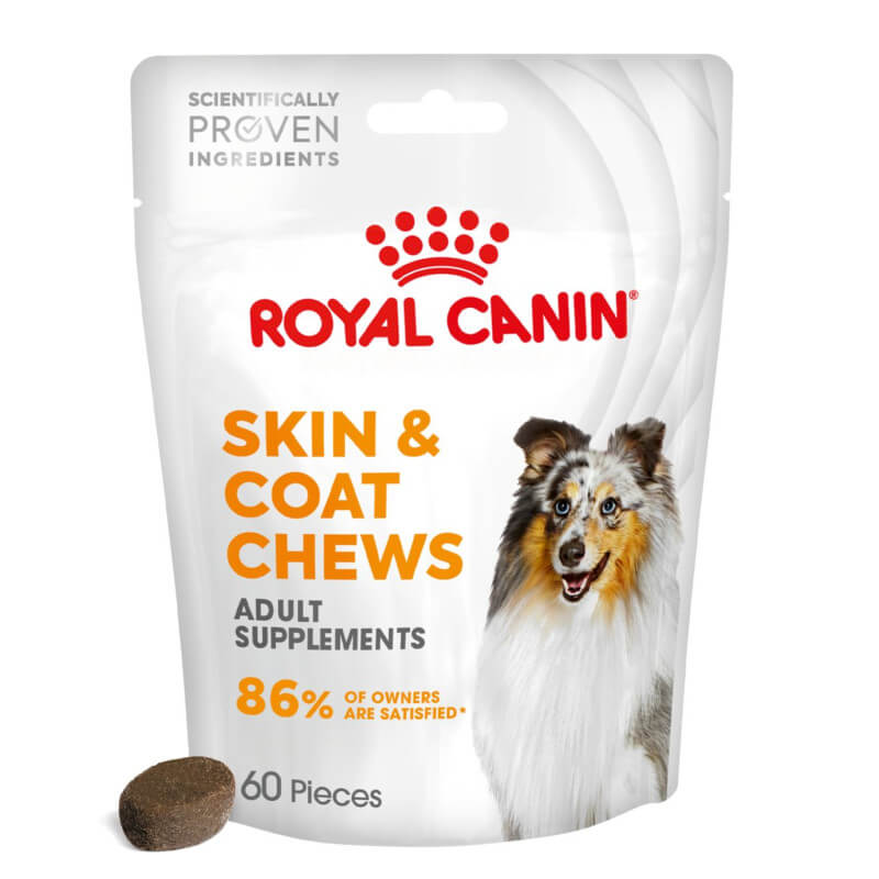 Royal Canin Adult Skin &amp; Coat Supplement 240g, for dog skin health.