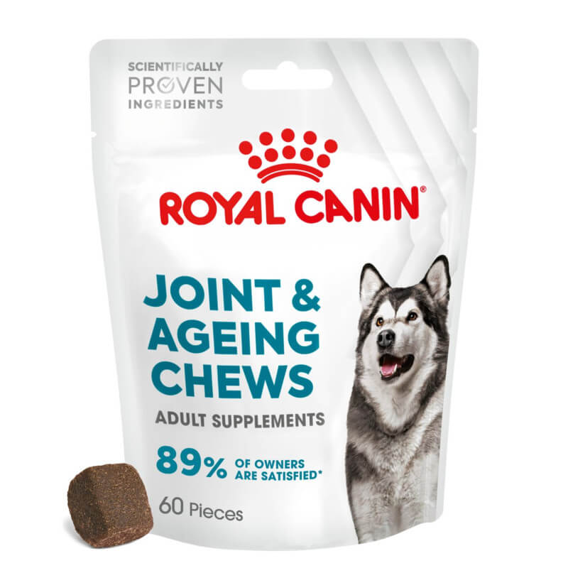 Royal Canin Joint &amp; Ageing Supplement 240g pack for dogs, with a chew next to the bag.
