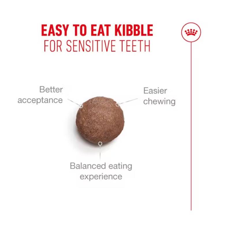 Round kibble: easy to eat, better acceptance, easier chewing—Royal Canin Feline Ageing 11+.