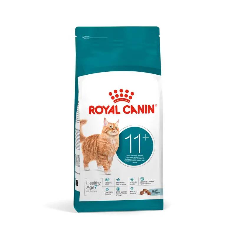 Royal Canin Feline Ageing 11+ dry cat food for seniors, bag features an orange cat on front.