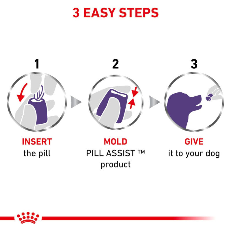 Royal Canin Pill Assist Small Dogs 90g