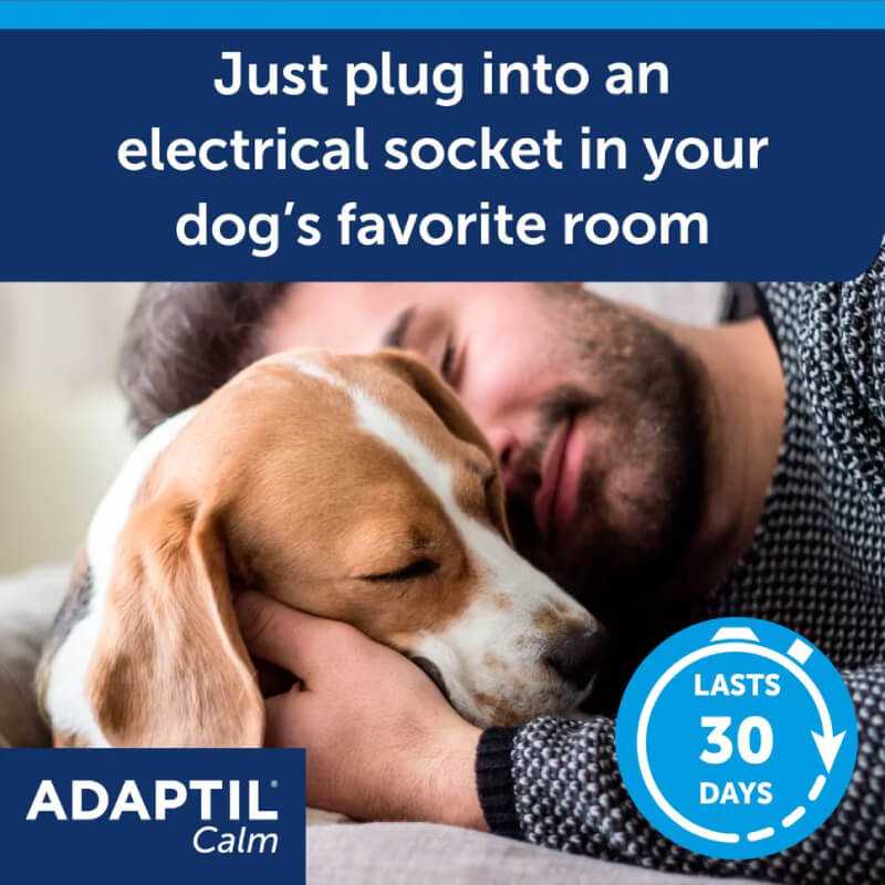 Man cuddling a relaxed dog on a couch with Adaptil Calm Home Diffuser 30 Day Starter Kit.