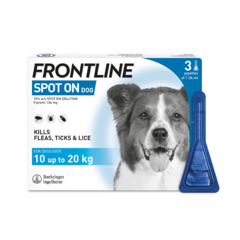 Frontline Medium Dog