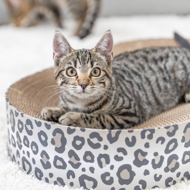 Trixie Leo Cat Scratching Bed Cardboard with Catnip Cream Leopard