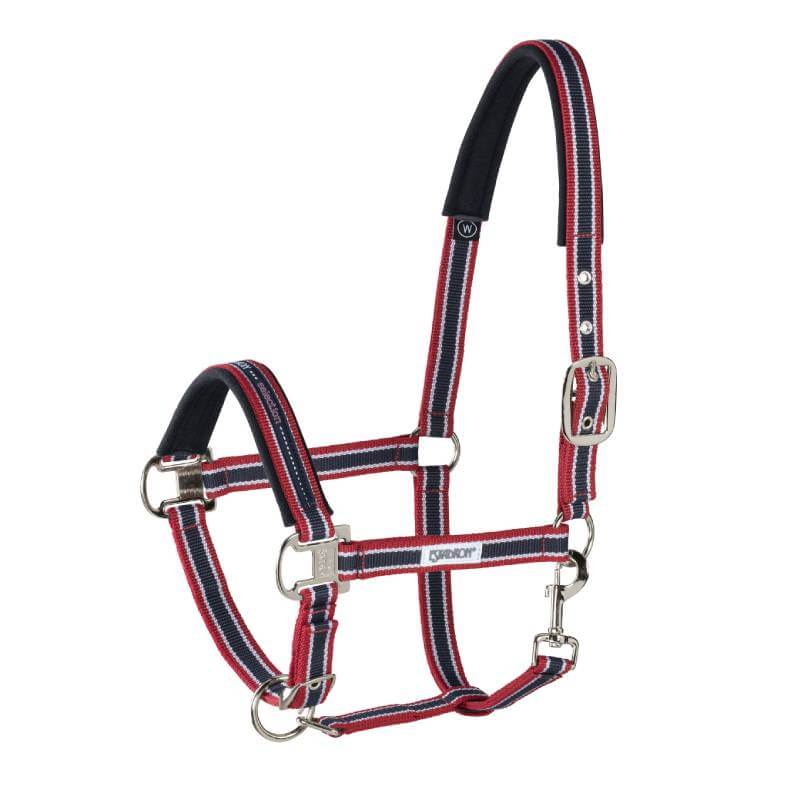 Red, navy &amp; white Eskadron Basics PetnPony Headcollar with padding and silver buckles.