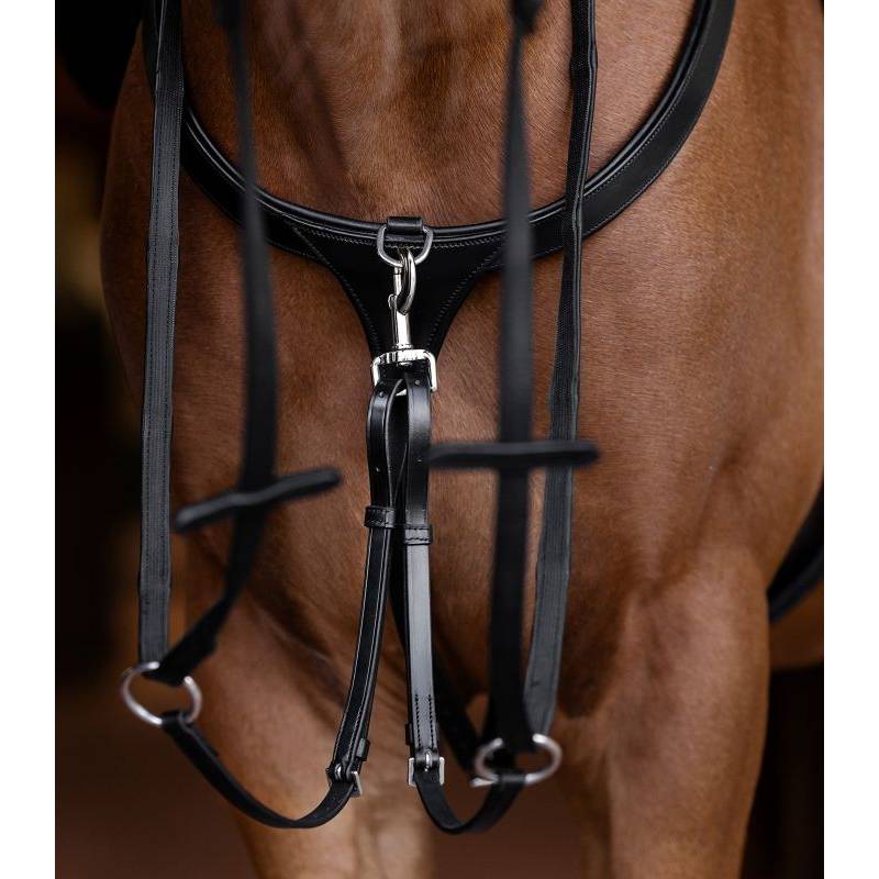 Close-up of a horse in Waldhausen X-Line Breastplate with Long Bridge, Havana, Full size.
