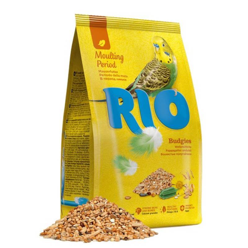 Rio Budgies Moulting Period Feed 500g—a high-protein seed mix for moulting budgies.