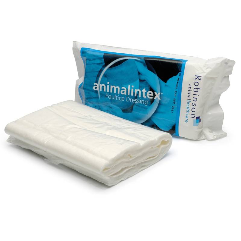 Robinson Animalintex Poultice by Robinson Animal Healthcare, ideal for equine wound care.
