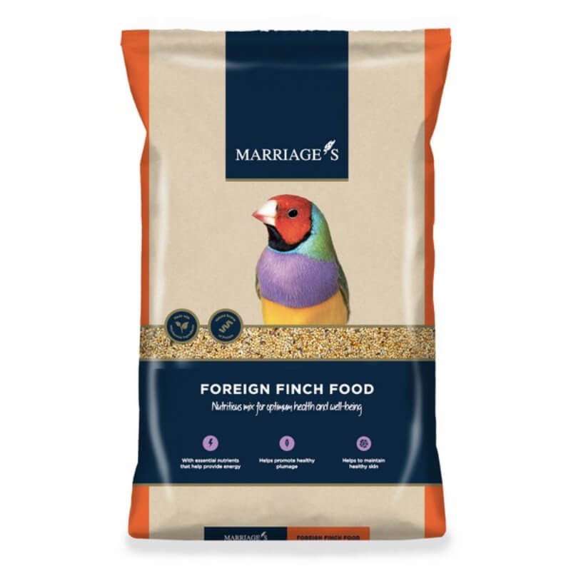 Marriages Foreign Finch Food