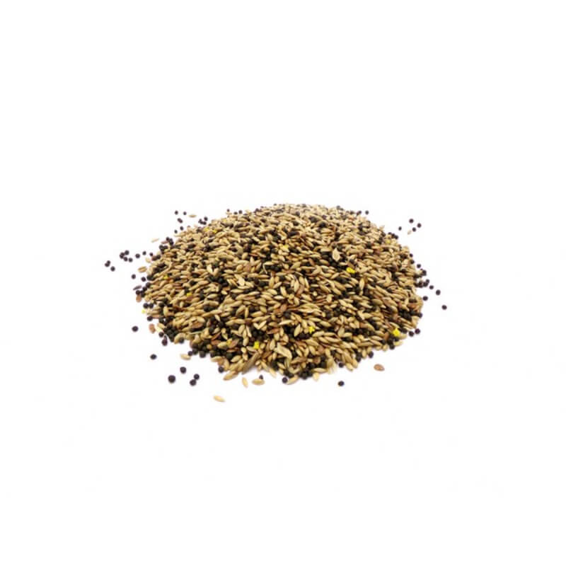 Marriages Canary Food: a blend of whole spices and canary seed mix from Marriages.