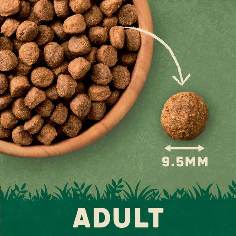 Bowl of round brown dry Harringtons Lamb & Rice Adult 15kg dog food; one 9.5mm piece shown.