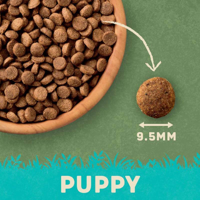 A bowl of Harringtons Turkey and Rice Puppy 10kg, plus a close-up of a single kibble piece.