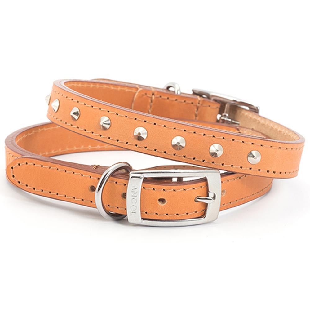 Two Ancol Leather Studded Collars in tan with metal studs and silver buckles.