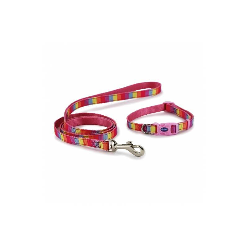 Ancol Small Bite Rainbow Collar Lead Set Pink—adjustable, for small dogs and puppies.