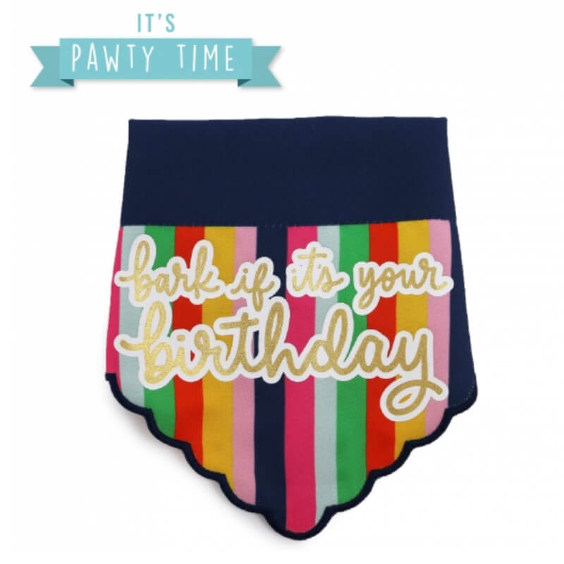 Ancol Pawty Bandana-Pet n Pony-Ancol