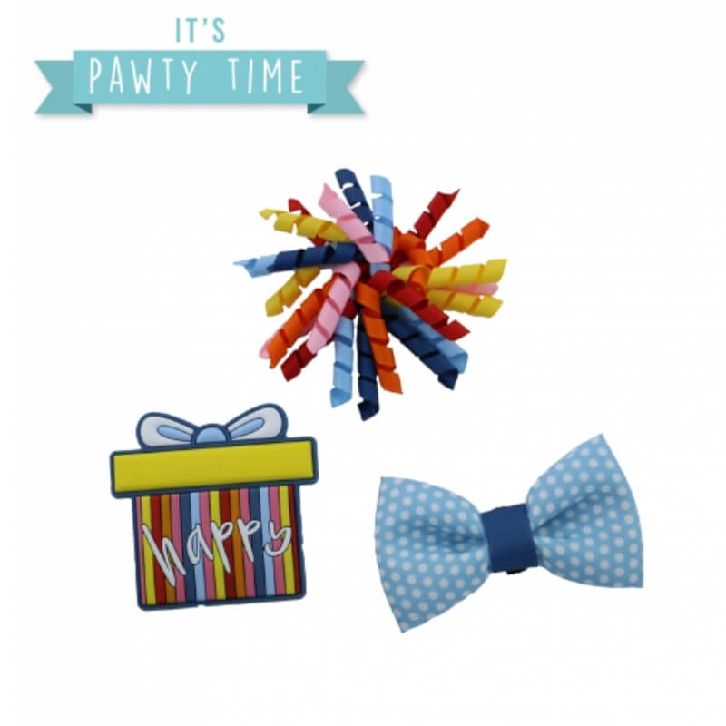 Ancol Pawty Stripe Present Accessory Set: colorful pet toys and collar accessory from Ancol.