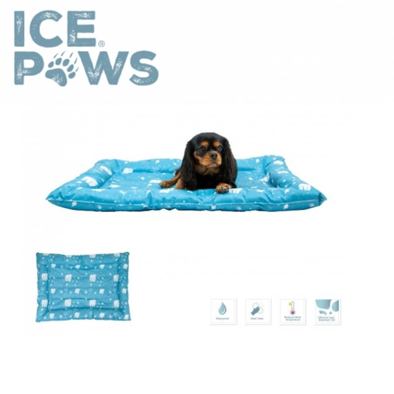 Small dog lying on Ancol Ice Paws Cooling Bed, 56x66cm, logo above.