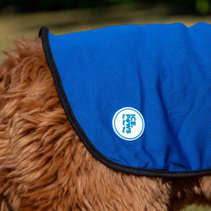Ancol Dog Cooling Coat on a brown, fluffy dog with Ancol logo visible.
