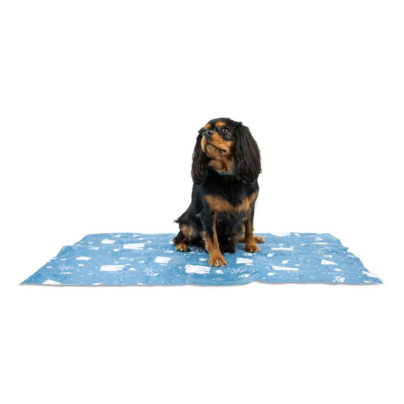 A dog sits on an Ancol Cooling Mat by Ancol with white patterns on a white background.