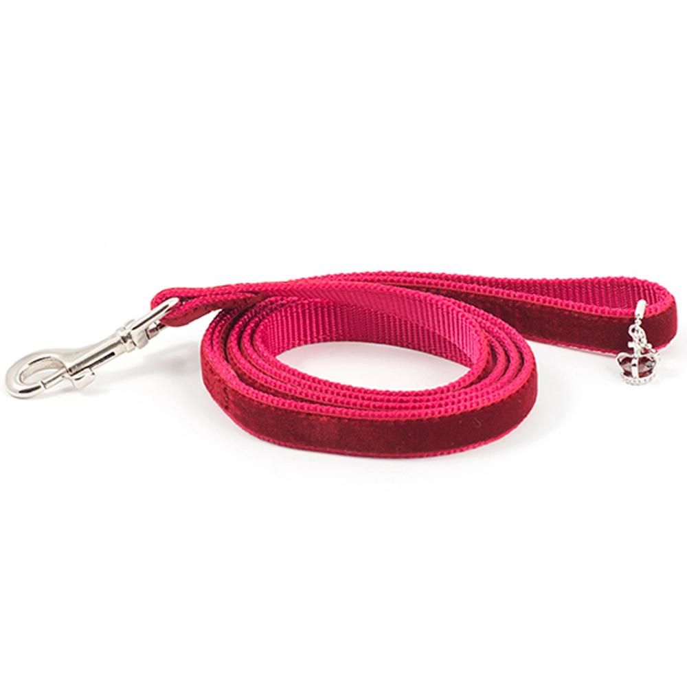 Ancol Crown Jewel Lead—red, with metal clasp and crown charm, for small dogs.